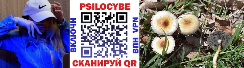Галлюциногенные грибы Magic Shrooms  наркота  Торжок 